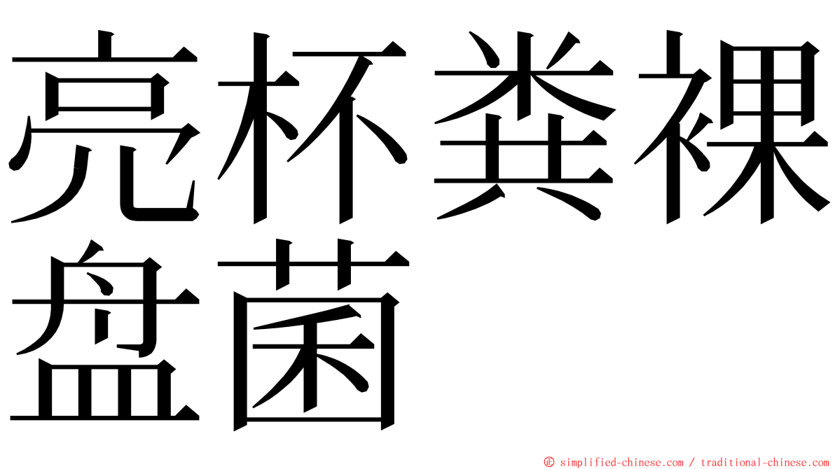 亮杯粪裸盘菌 ming font