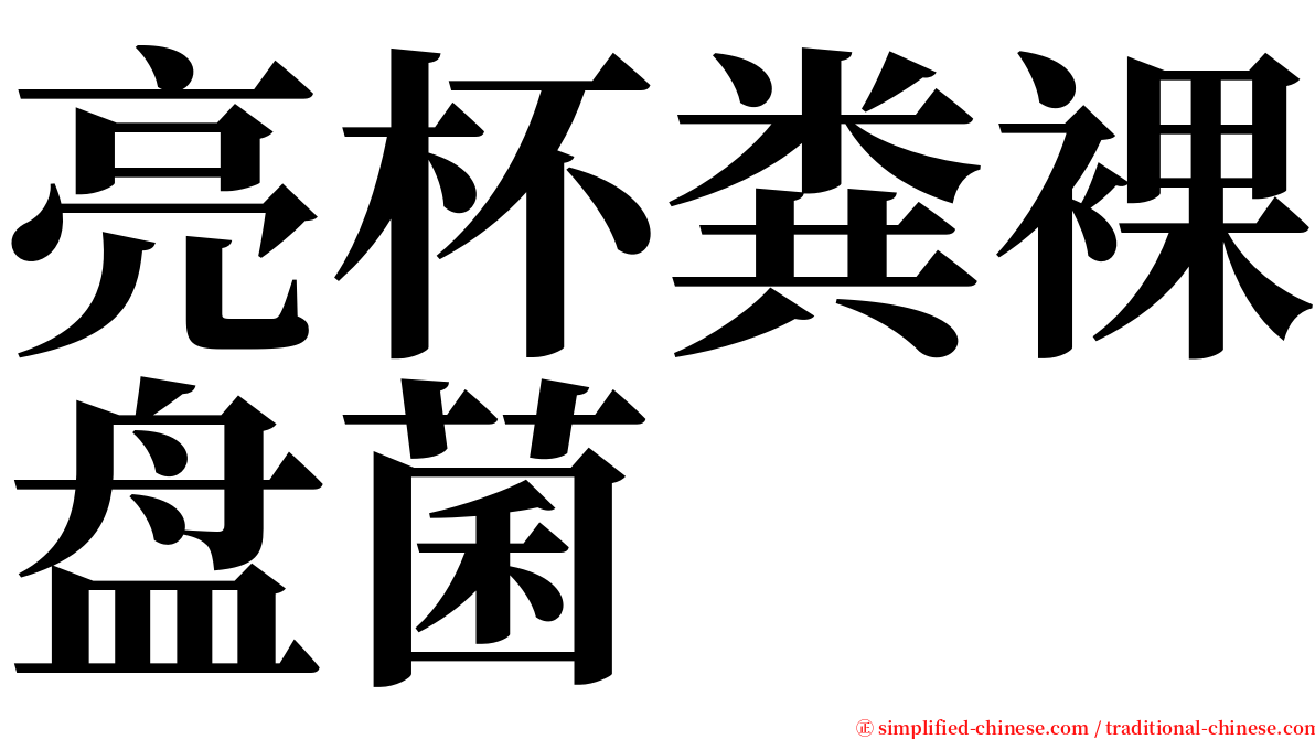 亮杯粪裸盘菌 serif font