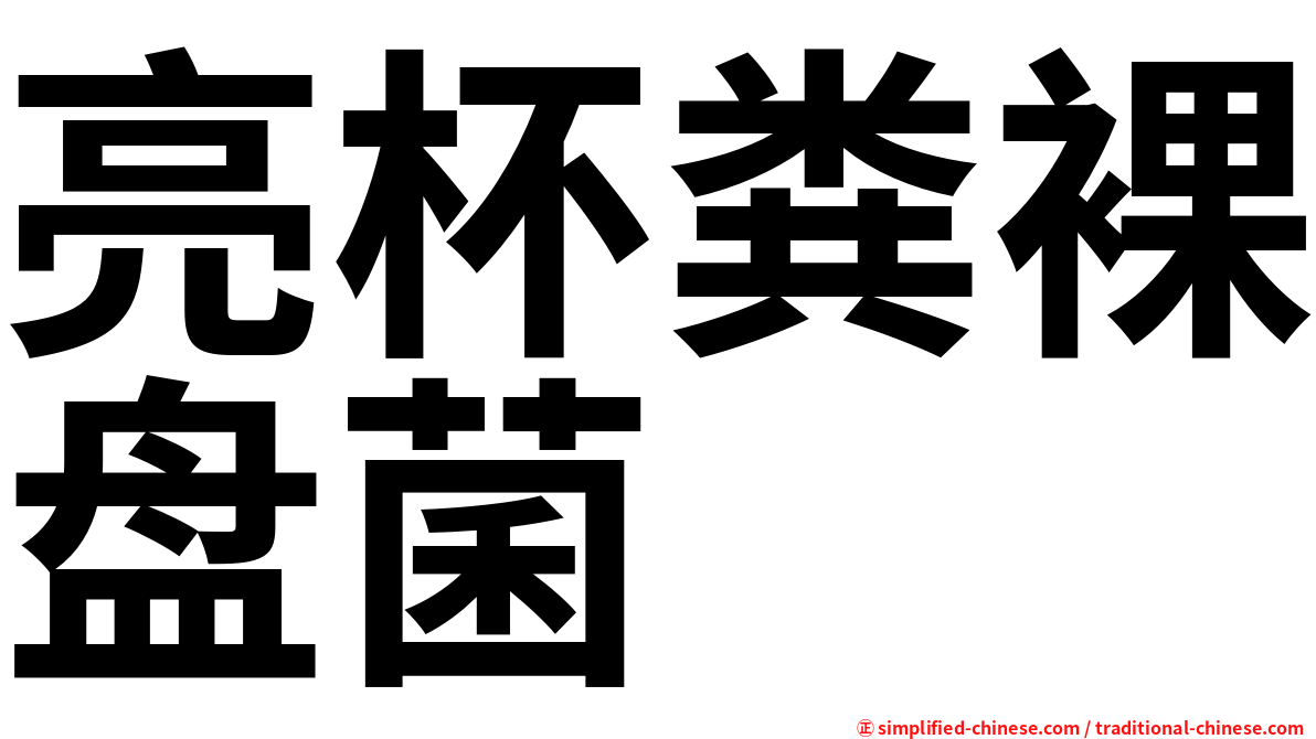 亮杯粪裸盘菌