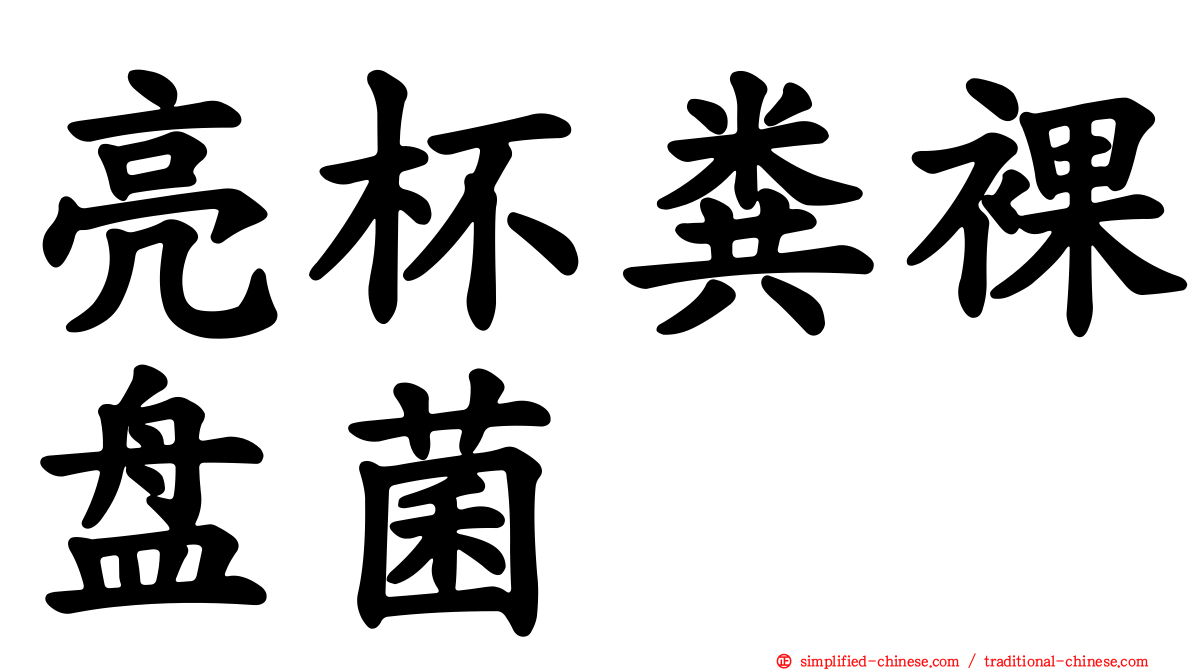亮杯粪裸盘菌