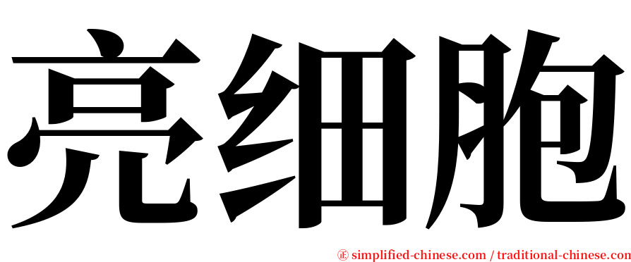 亮细胞 serif font