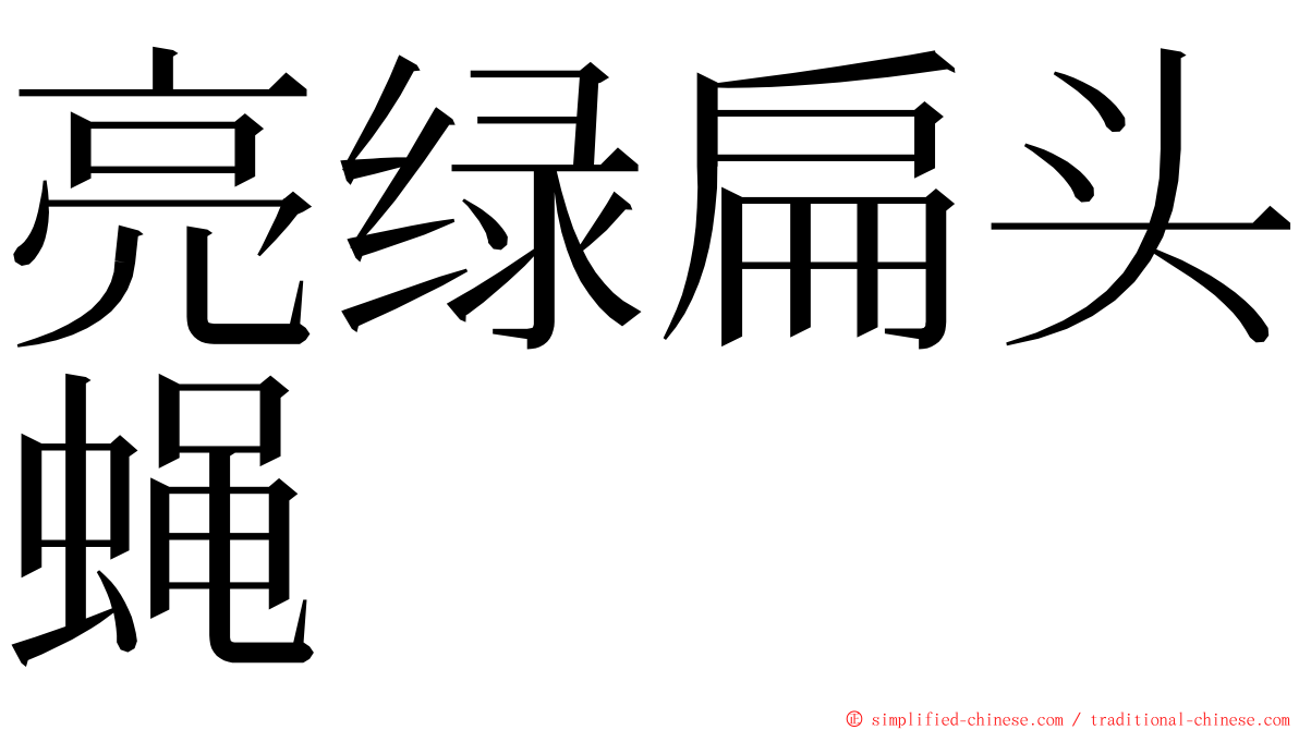 亮绿扁头蝇 ming font