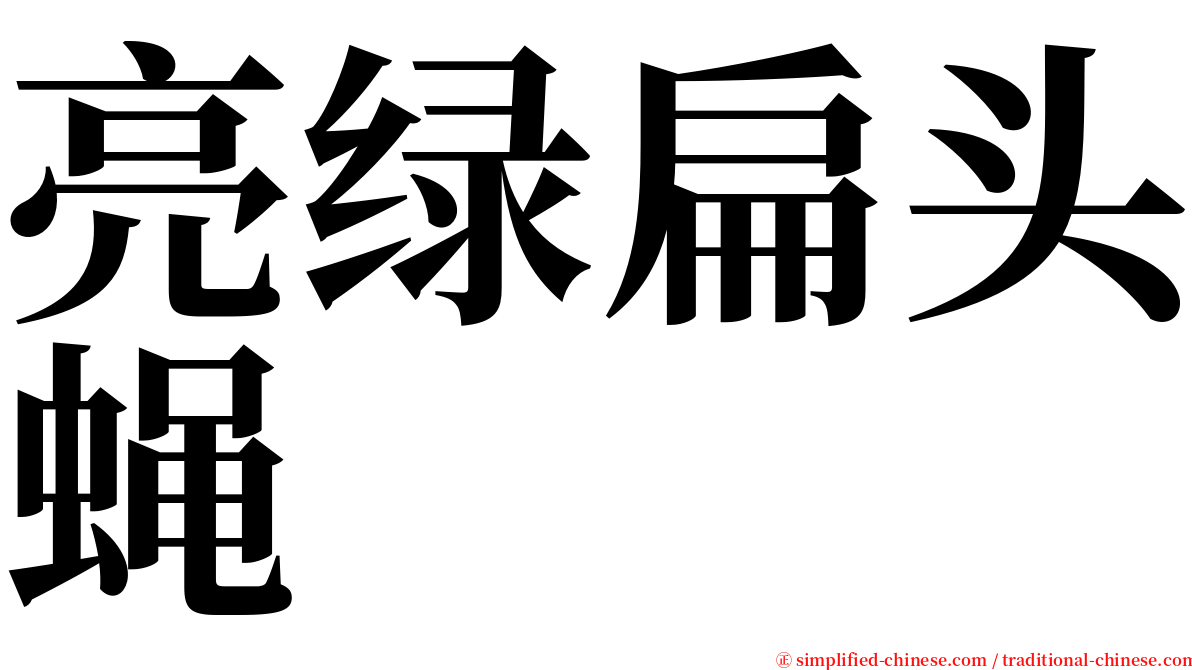 亮绿扁头蝇 serif font