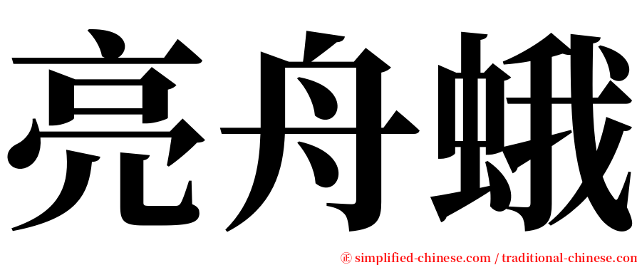 亮舟蛾 serif font