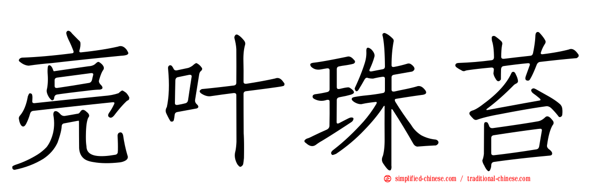 亮叶珠苔