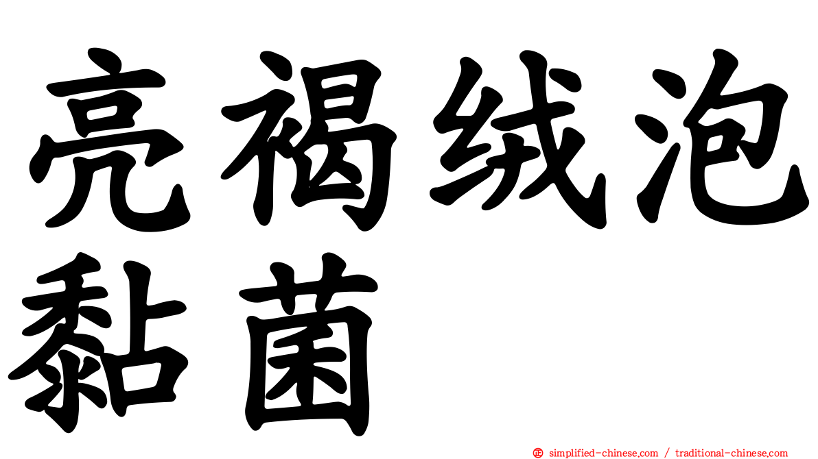 亮褐绒泡黏菌