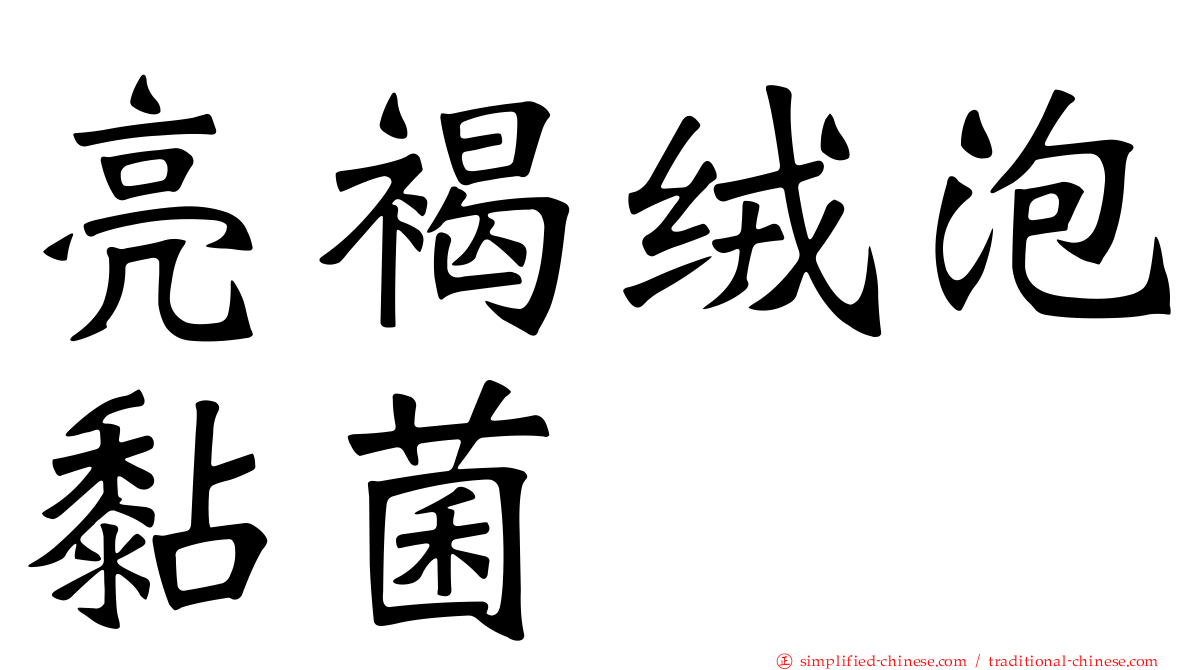 亮褐绒泡黏菌