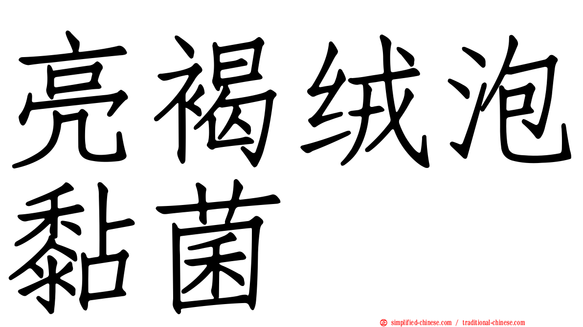 亮褐绒泡黏菌