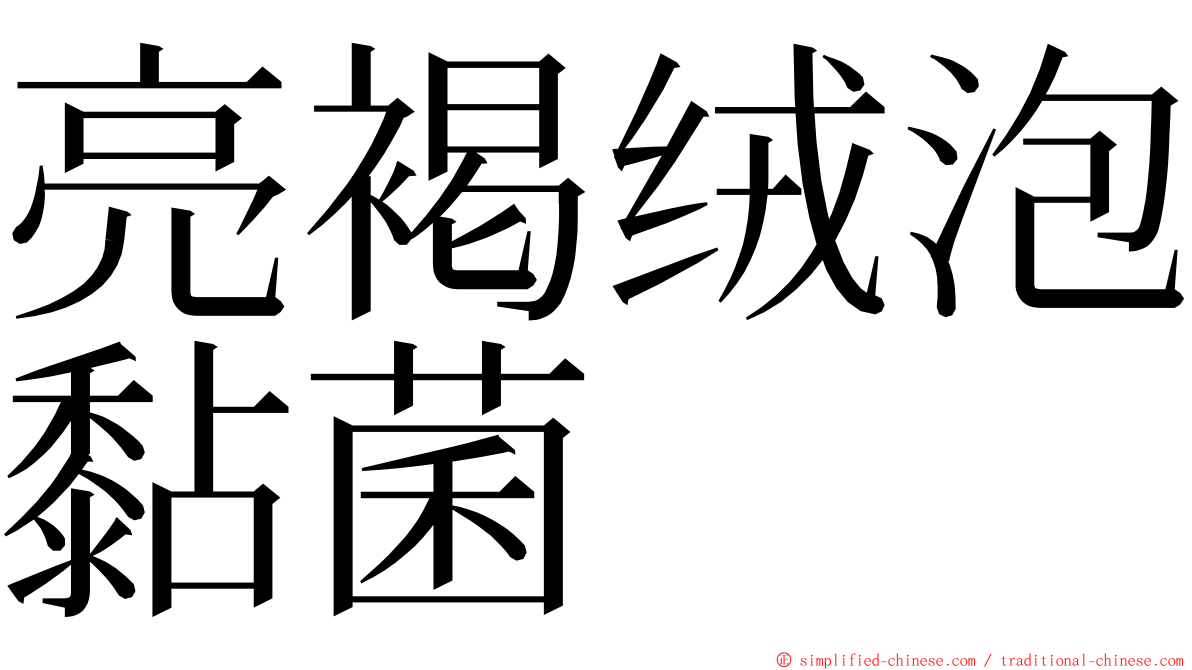 亮褐绒泡黏菌 ming font