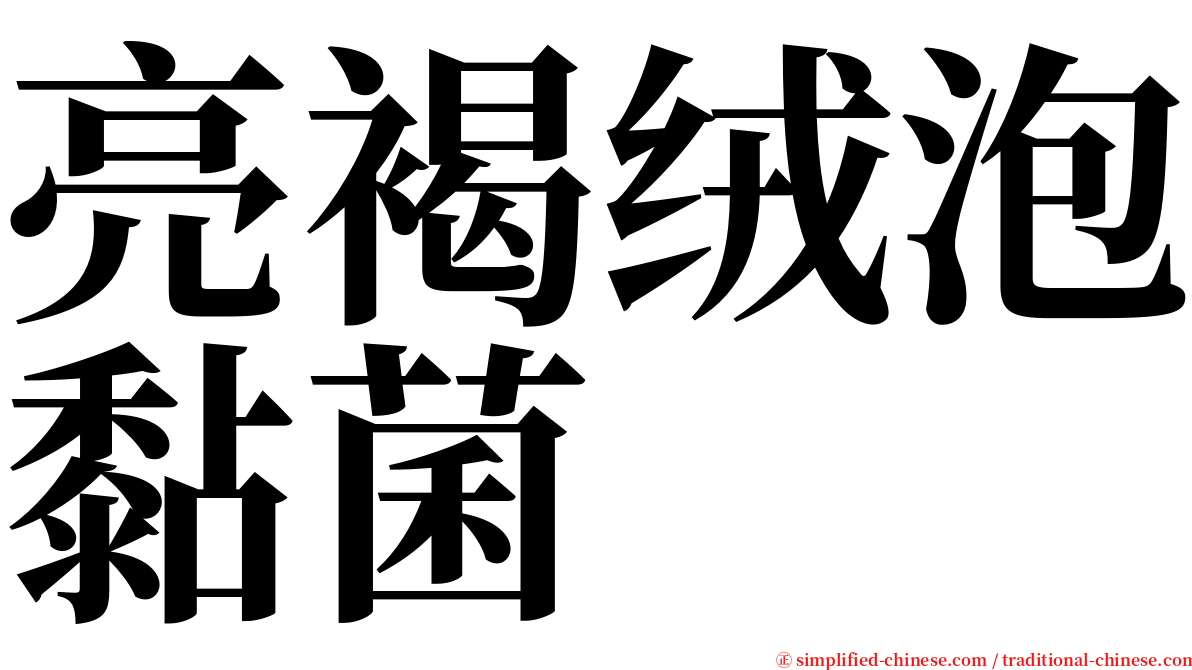亮褐绒泡黏菌 serif font