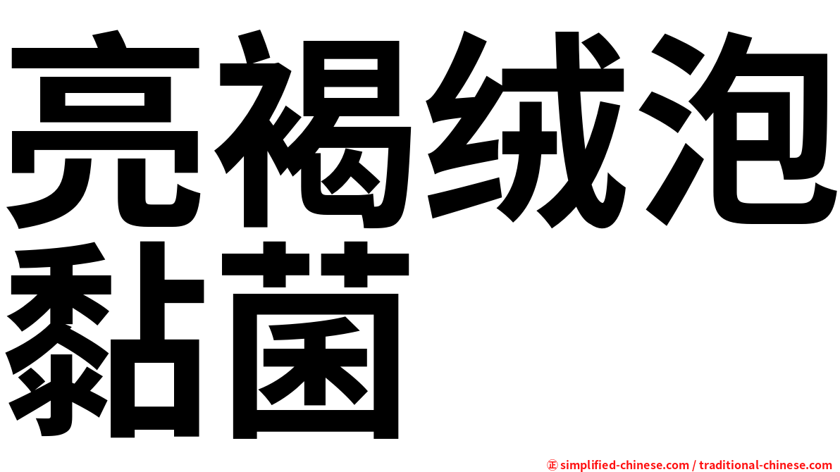 亮褐绒泡黏菌