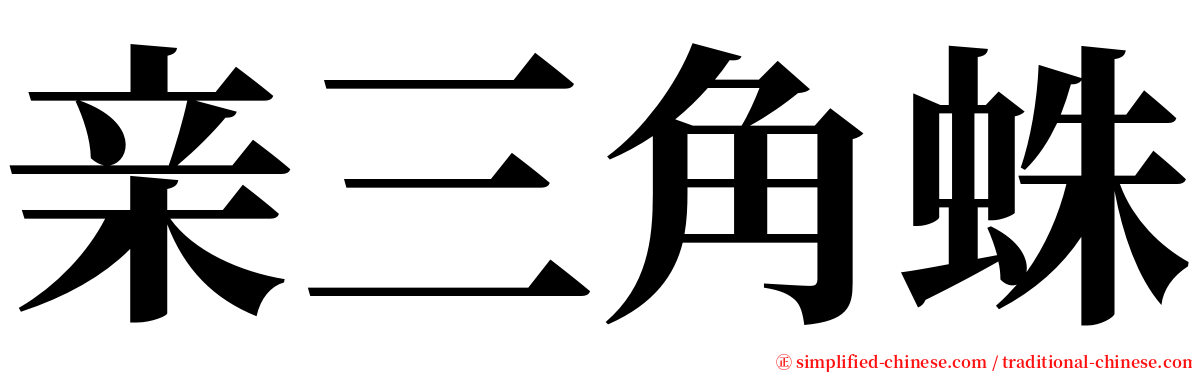 亲三角蛛 serif font