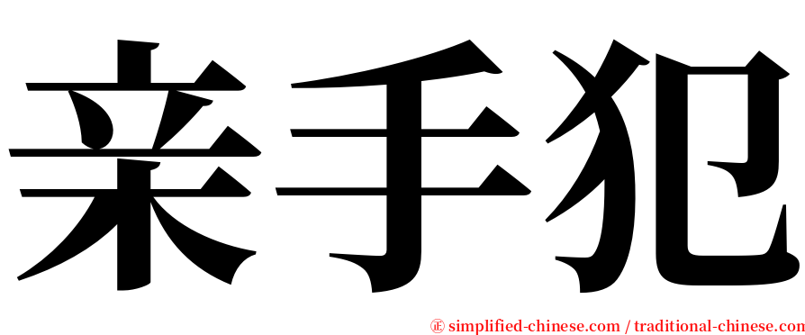 亲手犯 serif font