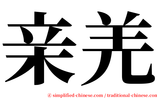 亲羌 serif font