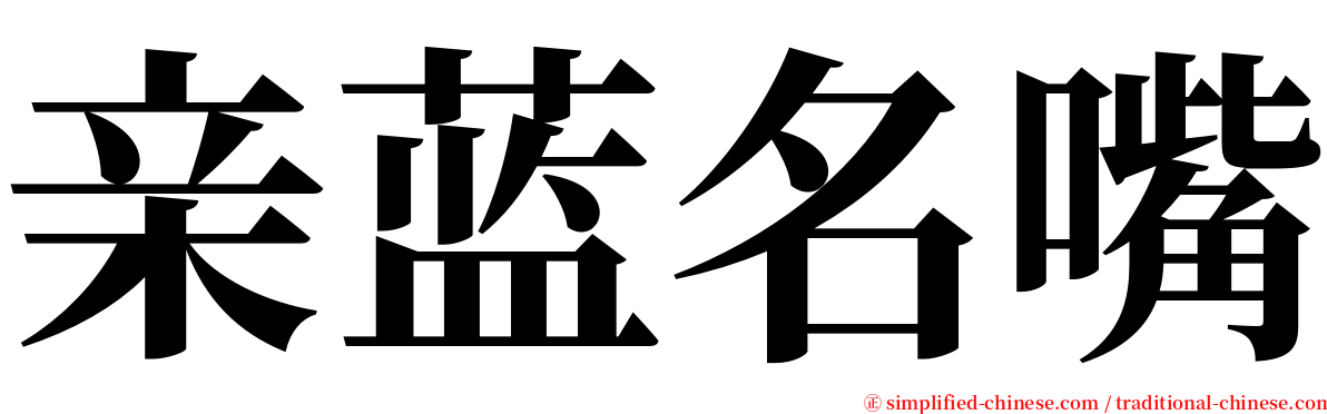 亲蓝名嘴 serif font