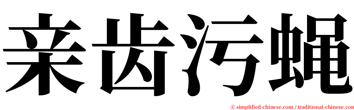 亲齿污蝇 serif font