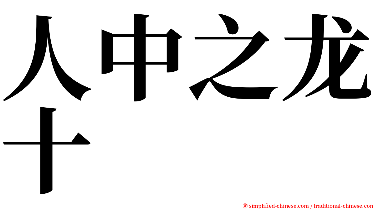 人中之龙十 serif font