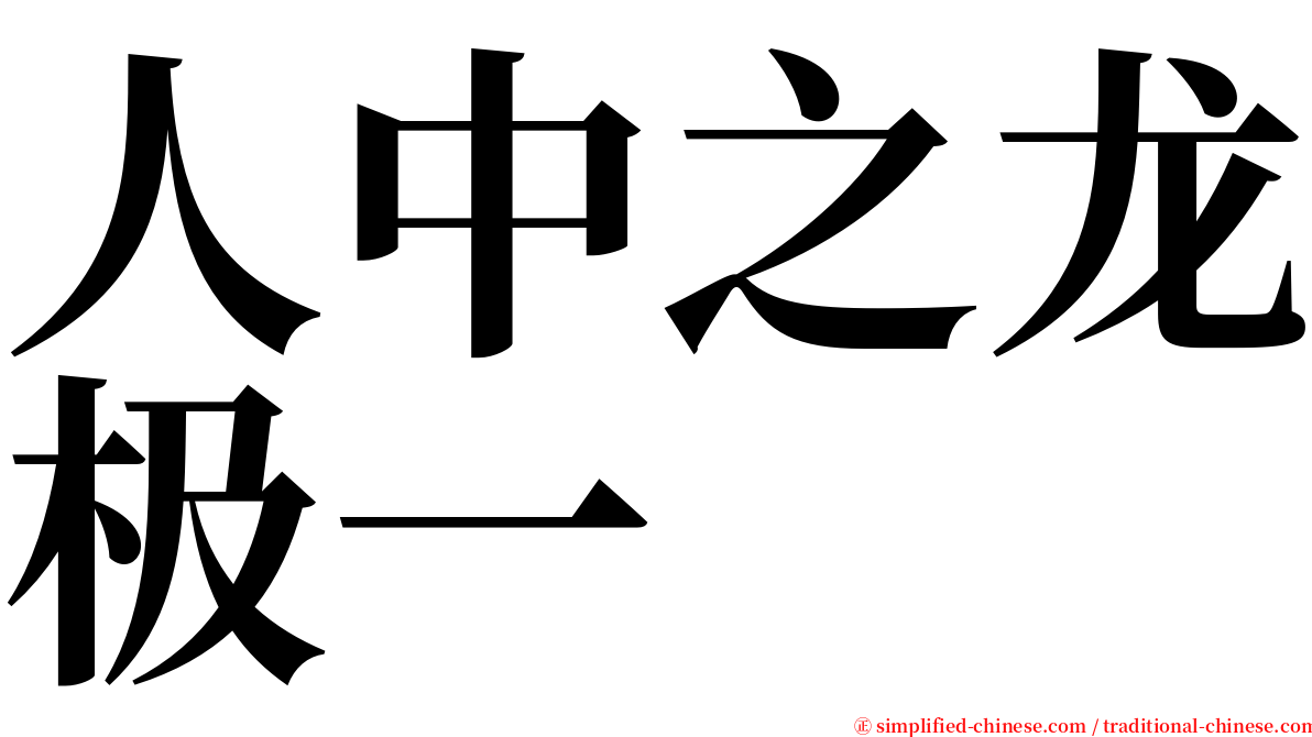 人中之龙极一 serif font