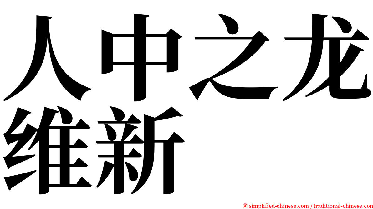 人中之龙维新 serif font