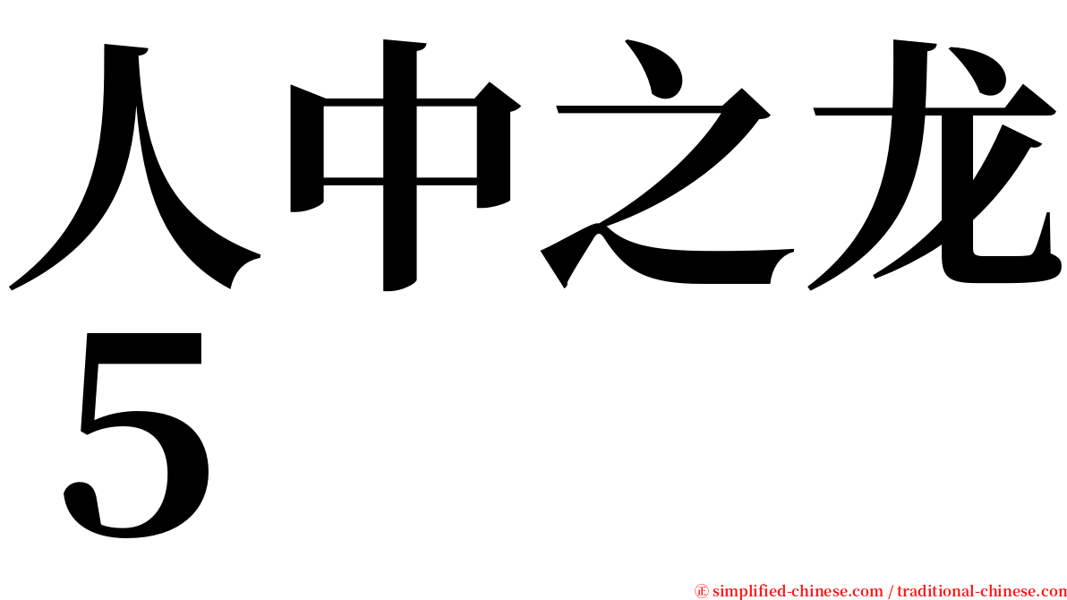 人中之龙５ serif font