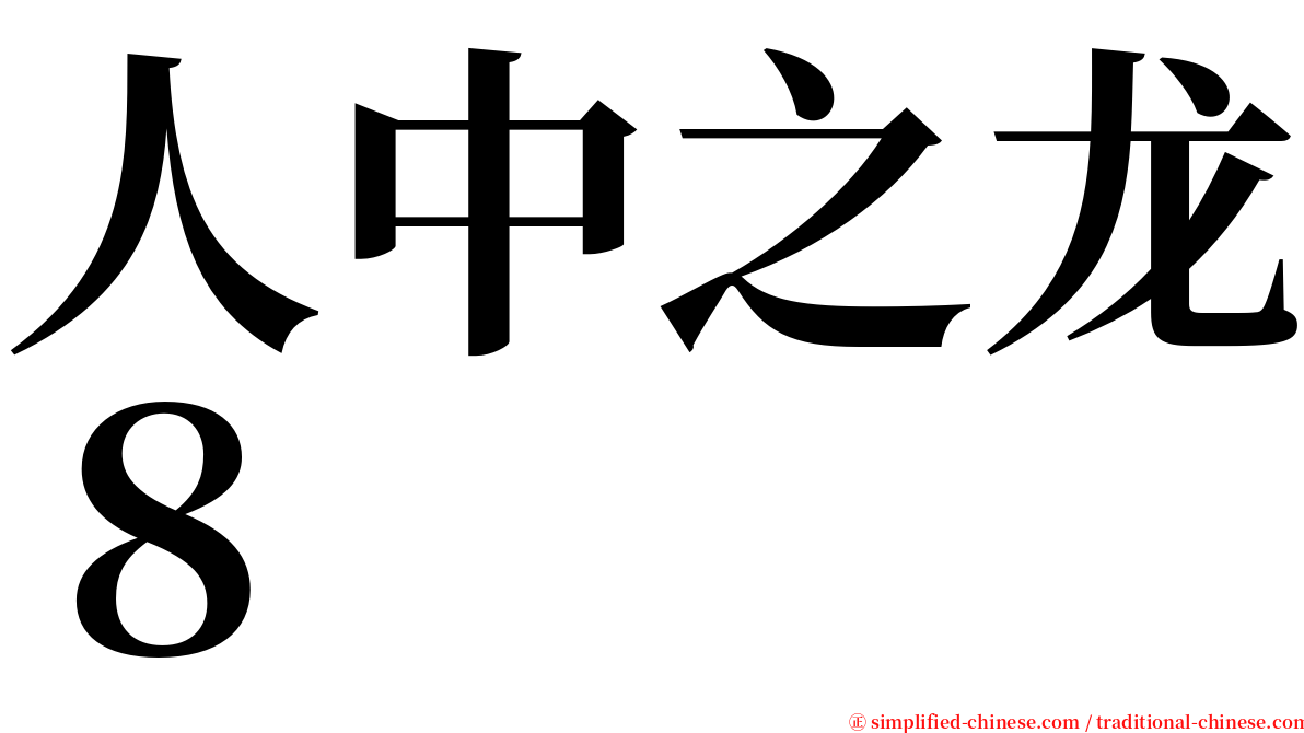 人中之龙８ serif font