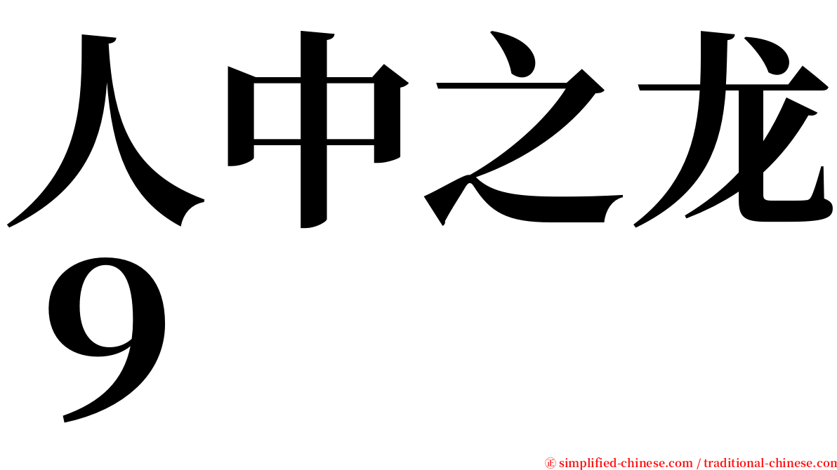 人中之龙９ serif font