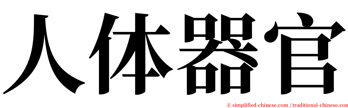 人体器官 serif font