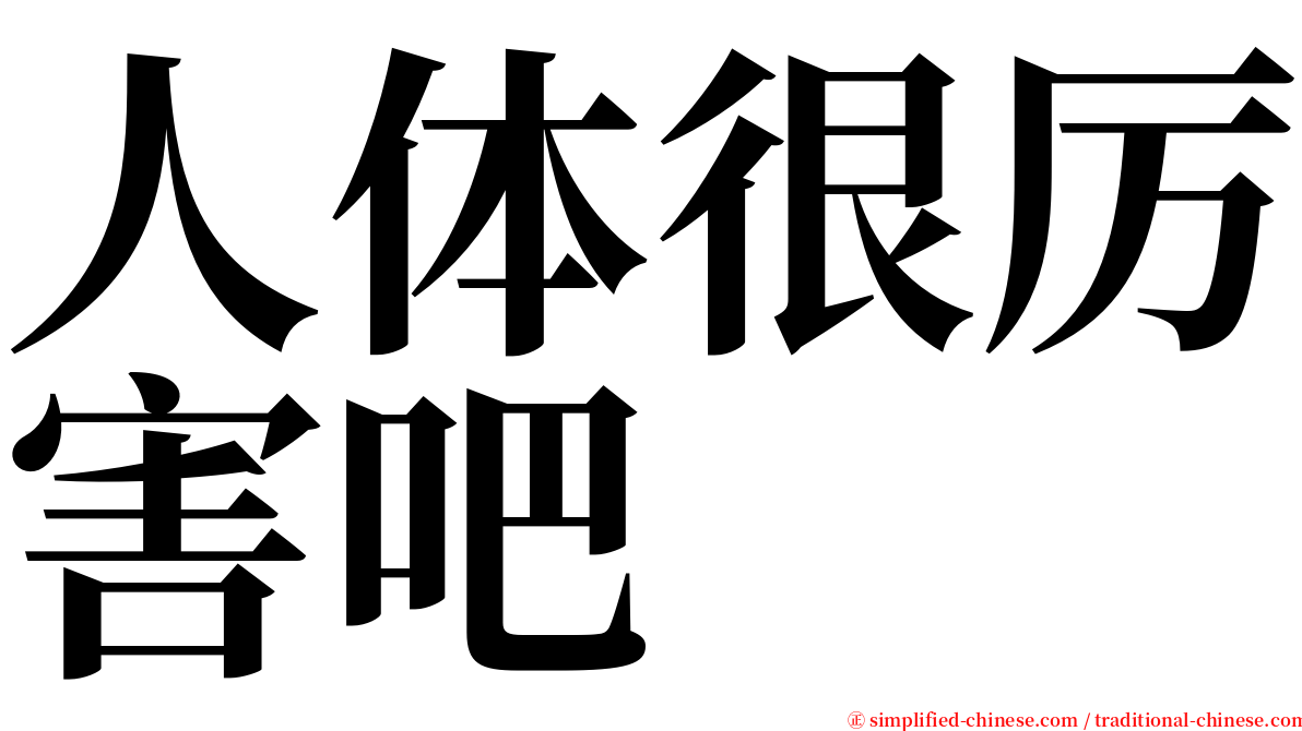 人体很厉害吧 serif font