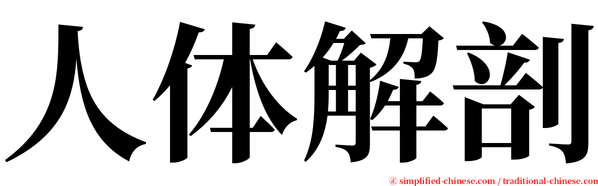 人体解剖 serif font