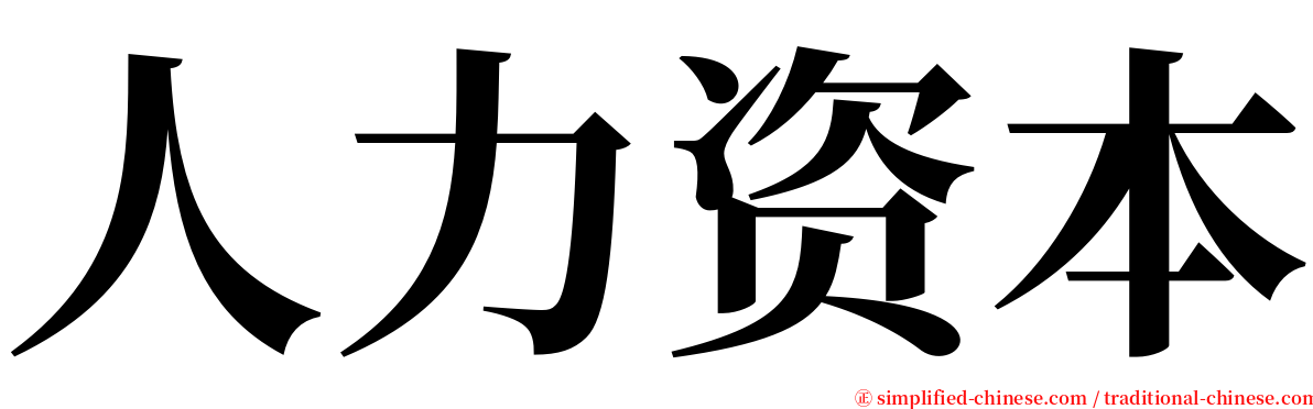 人力资本 serif font