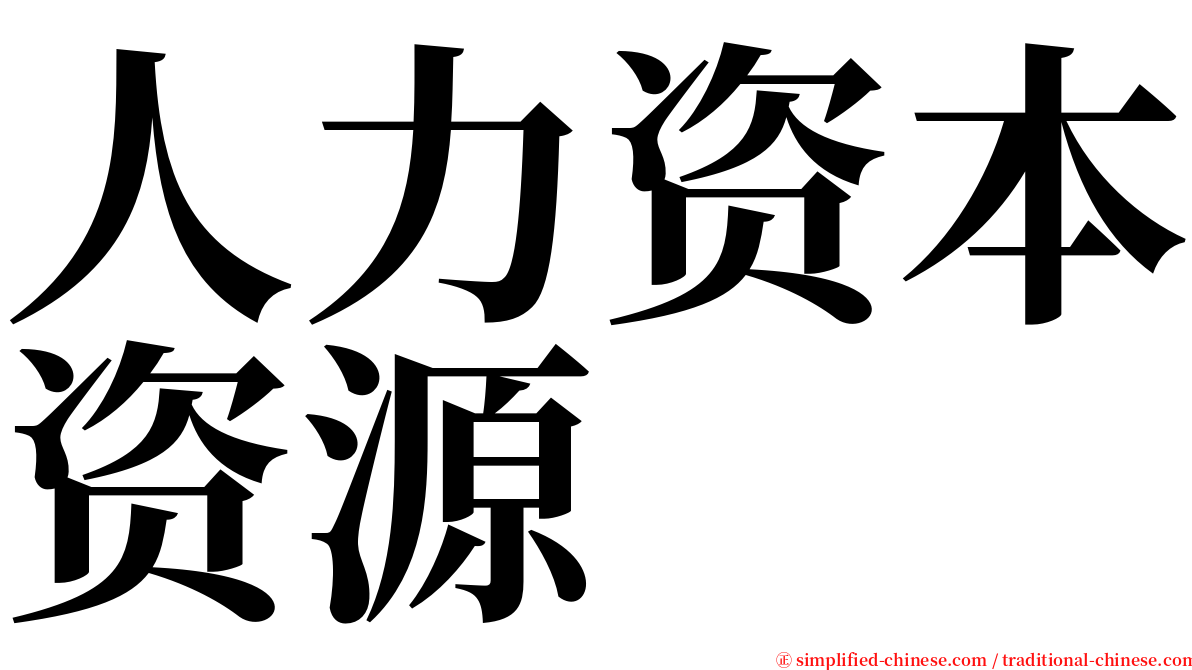 人力资本资源 serif font