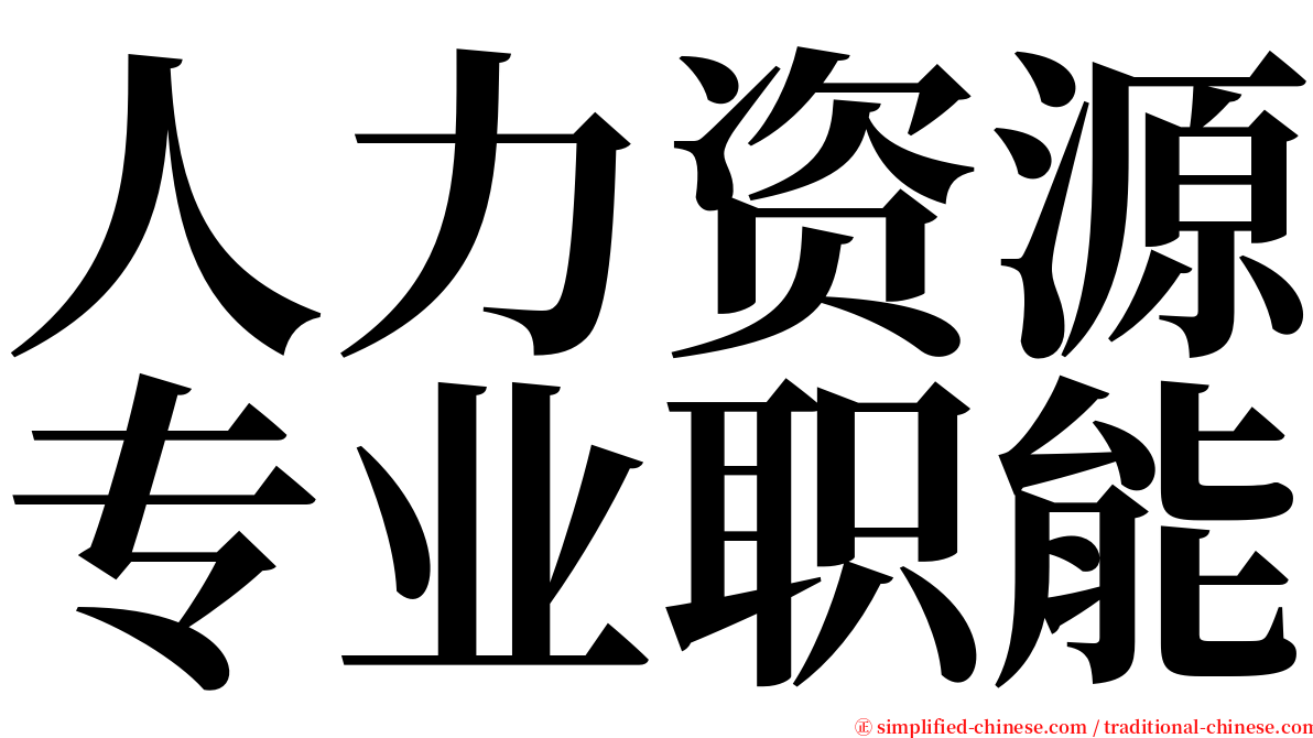 人力资源专业职能 serif font