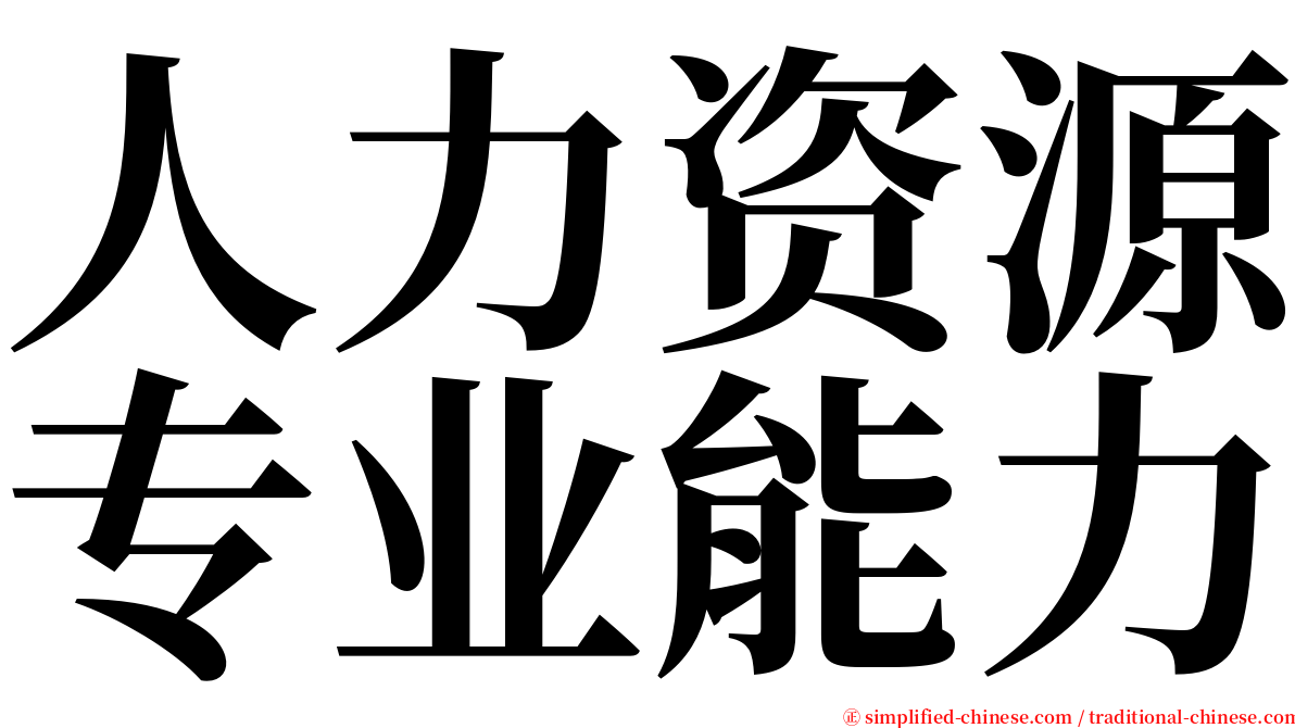 人力资源专业能力 serif font