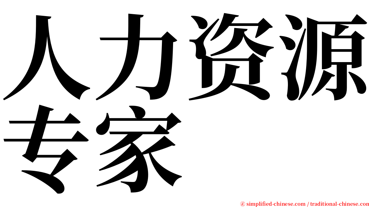 人力资源专家 serif font