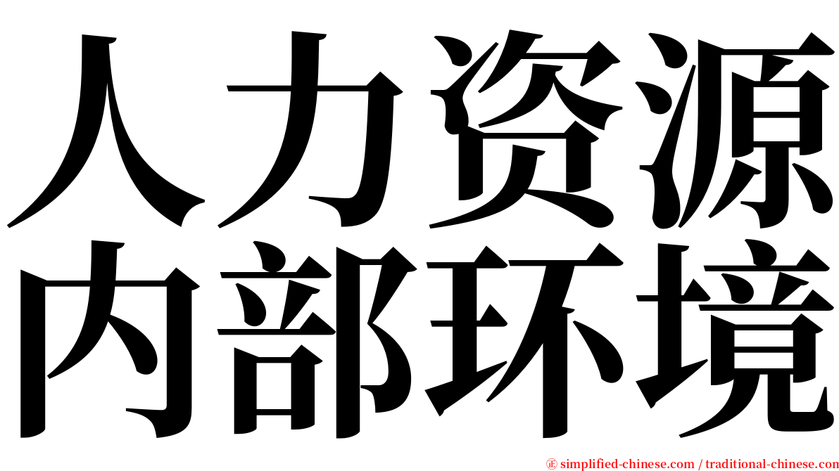 人力资源内部环境 serif font