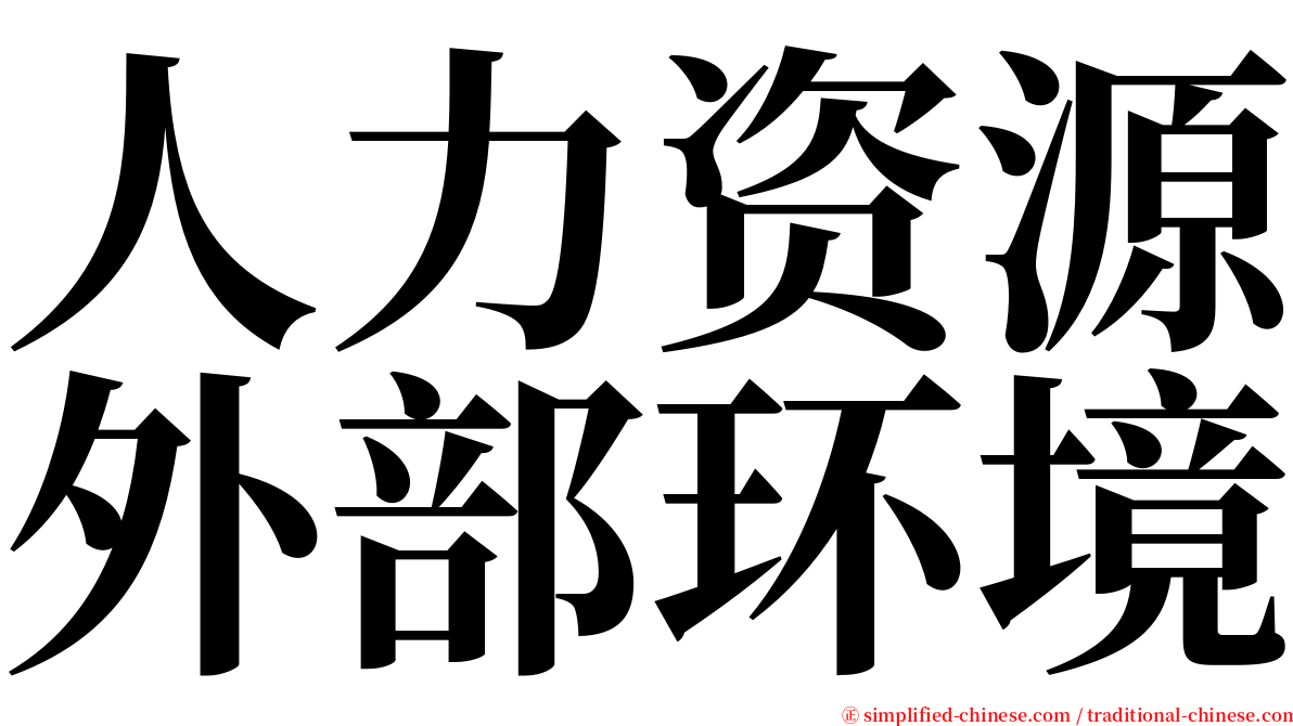 人力资源外部环境 serif font