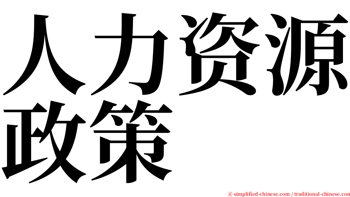 人力资源政策 serif font