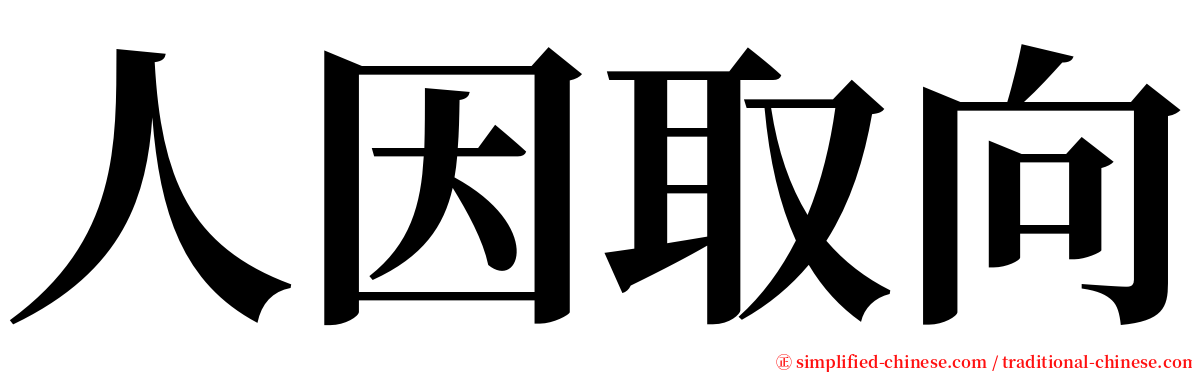 人因取向 serif font