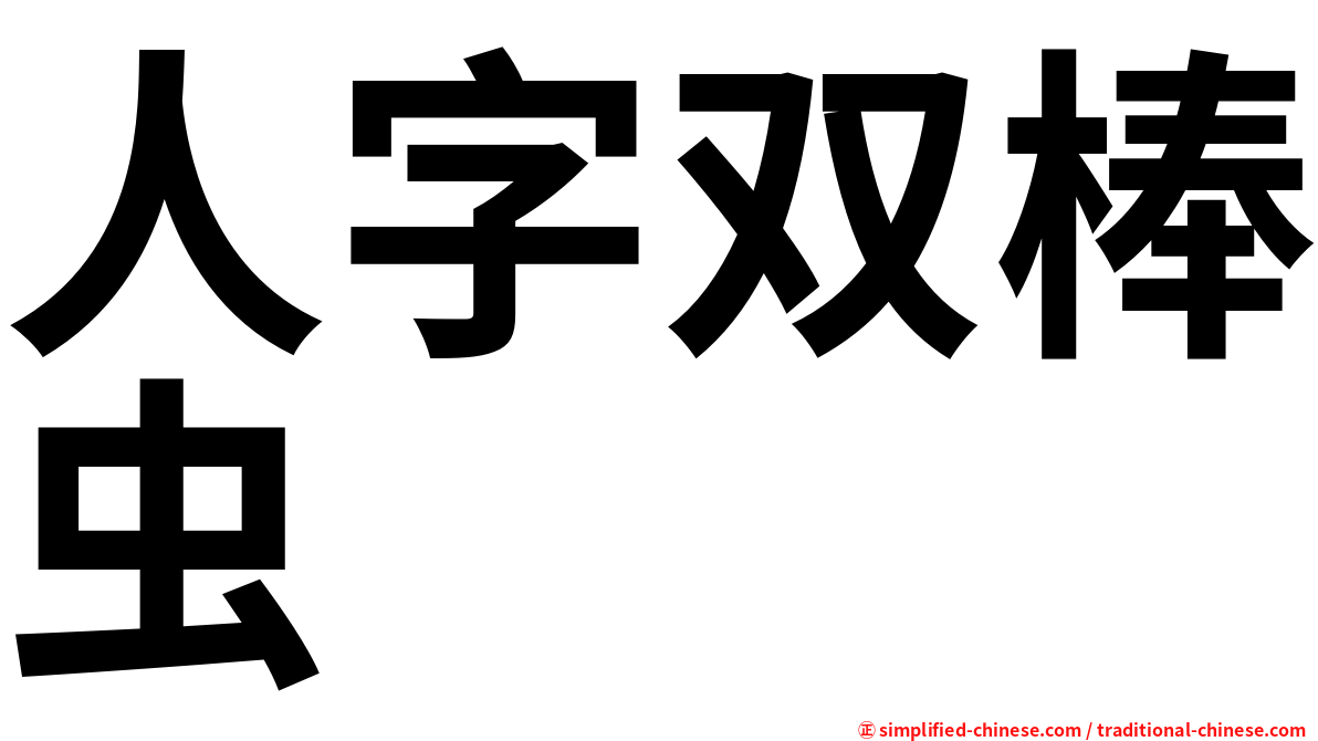 人字双棒虫