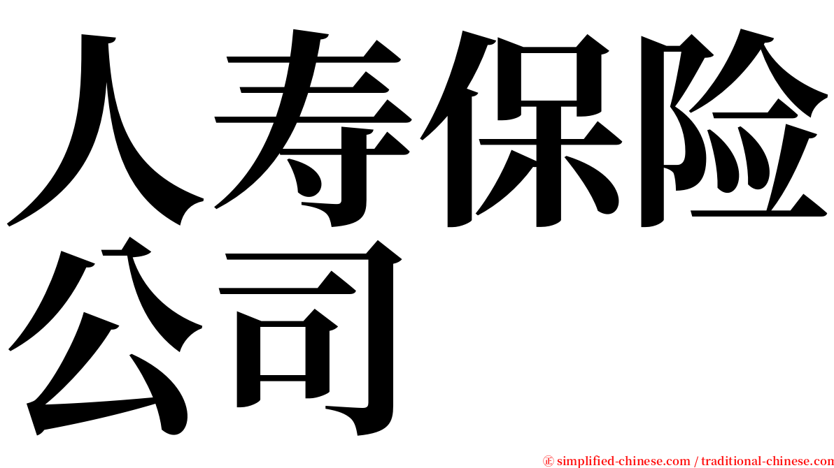 人寿保险公司 serif font