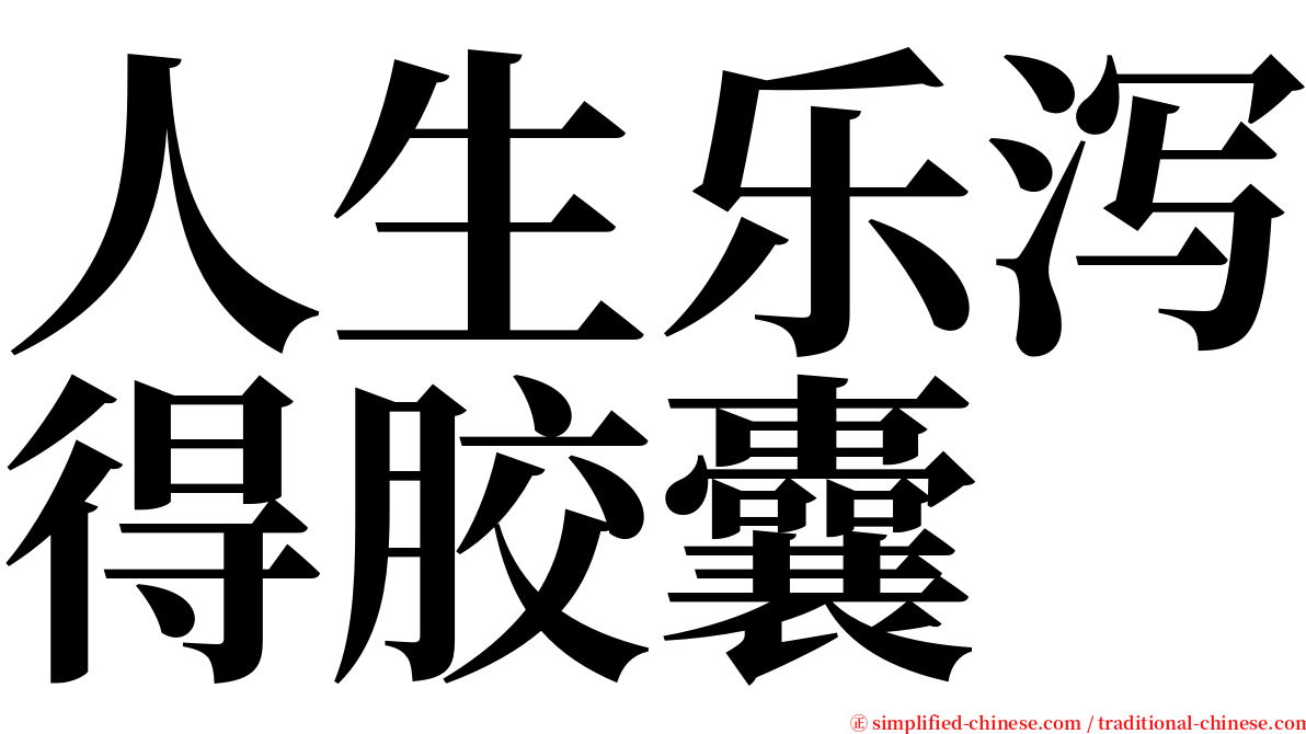 人生乐泻得胶囊 serif font