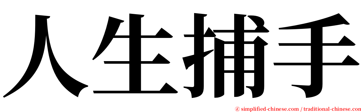 人生捕手 serif font