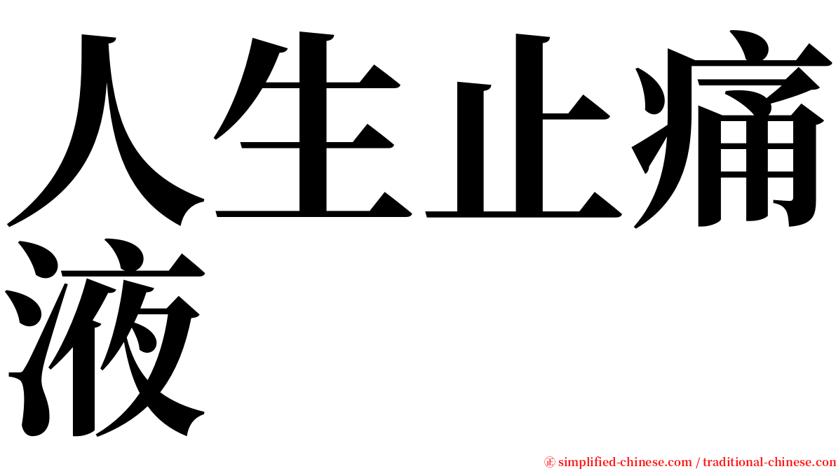 人生止痛液 serif font