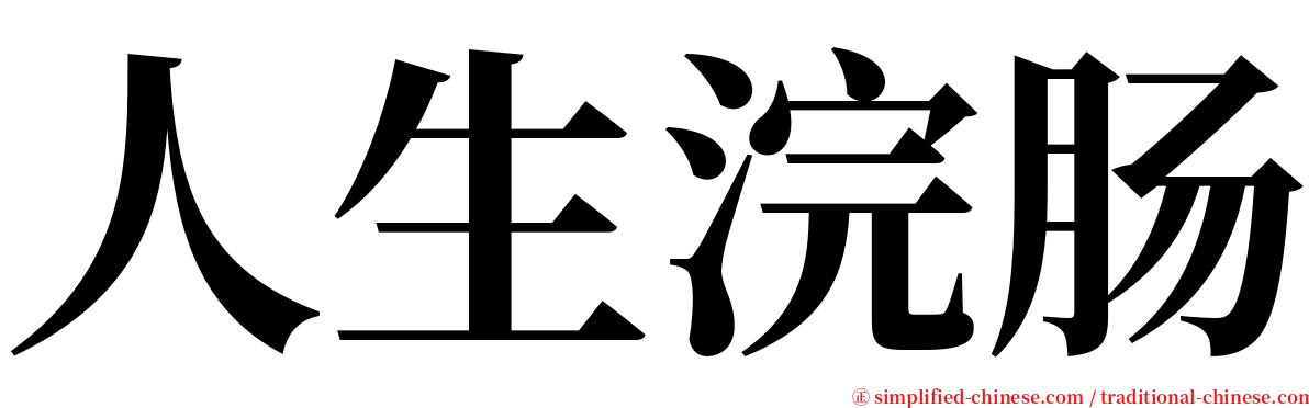 人生浣肠 serif font