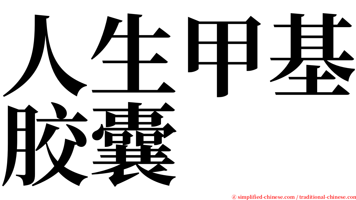 人生甲基胶囊 serif font