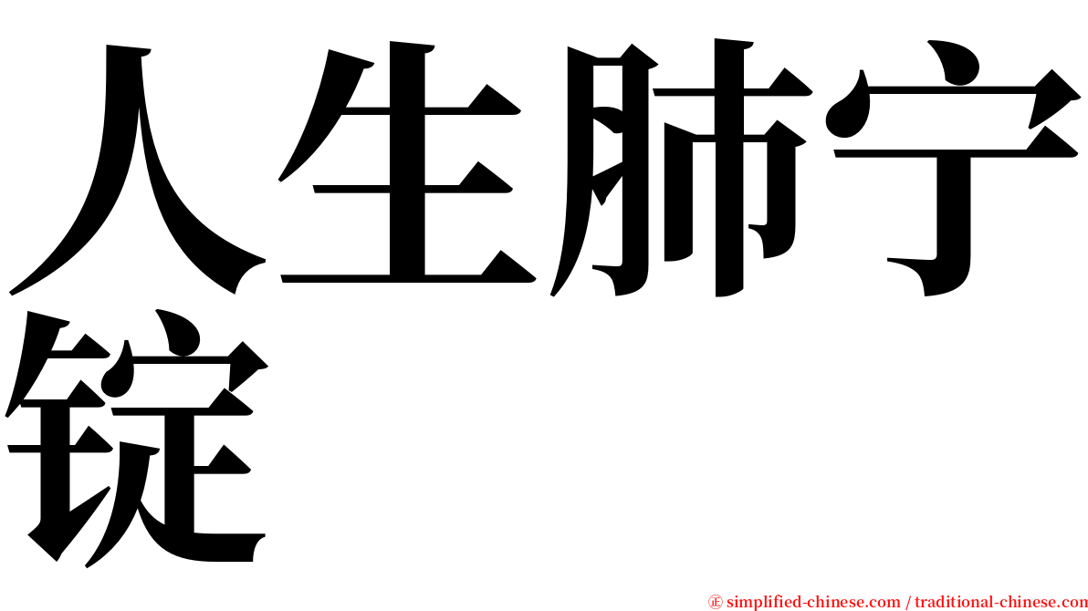 人生肺宁锭 serif font