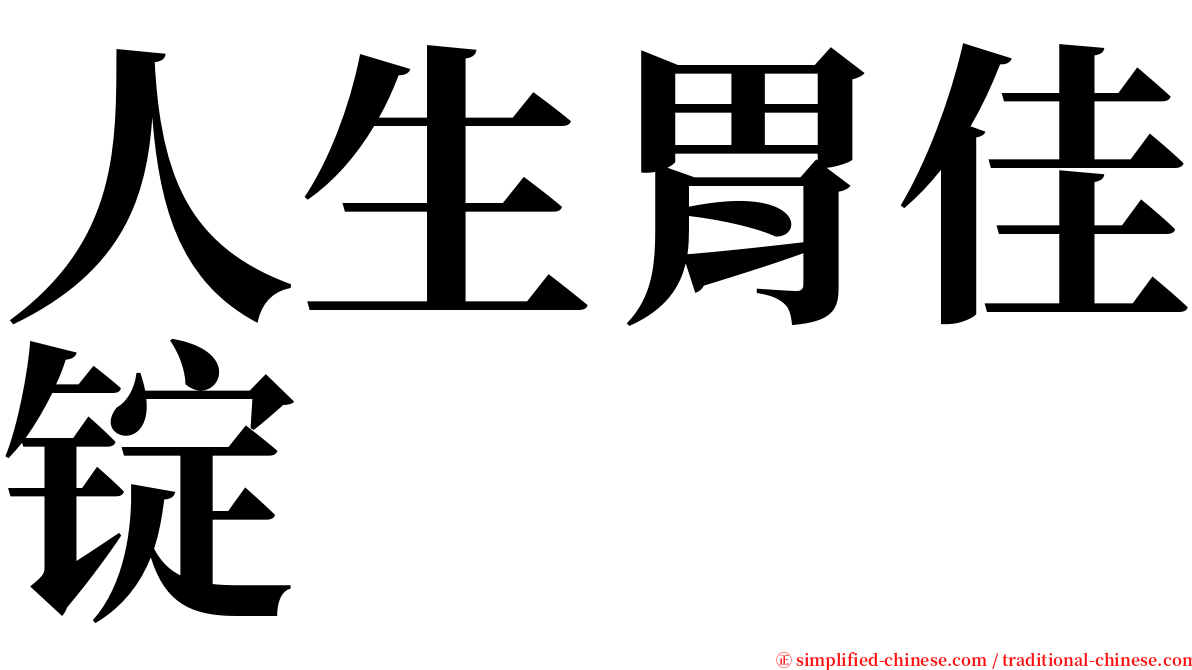 人生胃佳锭 serif font