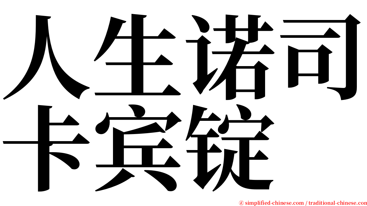 人生诺司卡宾锭 serif font