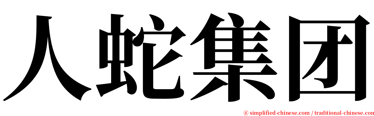 人蛇集团 serif font