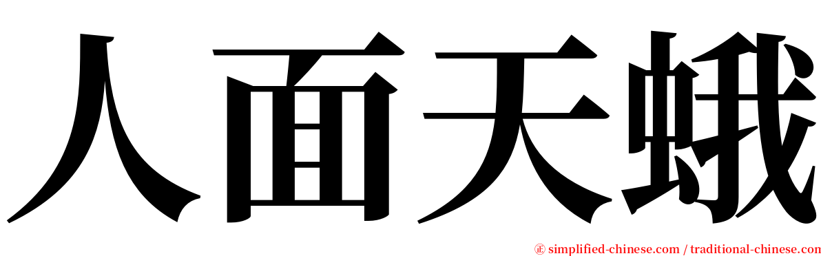 人面天蛾 serif font